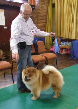 The Chow Chow Club